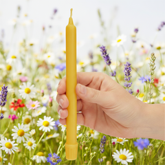 A hand holds a single yellow taper candle in front of a blurred wildflower meadow background.