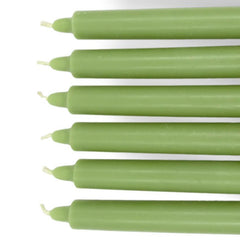 Set of green beeswax candles on a white background