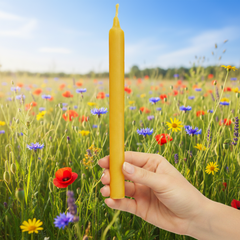 BULK: 5, 10, 20 Lbs High-Density Beeswax 7.5-inch Taper Colonial Candles with a standard 3/4-inch base
