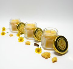 Three small clear glass jars of yellow wax candle with gold lids, arranged on a white background with decorative yellow flowers, beeswax chunks, and a small bee.