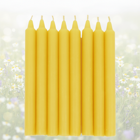 Beeswax 7.5-inch Taper Candles with a standard 3/4-inch base Organic Hand Made