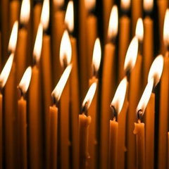 100% Beeswax Candles - 7 1/2" Tall, 3/8" Thick (Set of 12) - BCandle