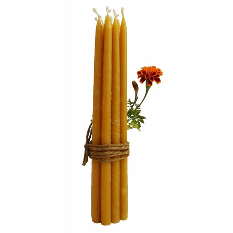 100% Beeswax Candles - 7 1/2" Tall, 3/8" Thick (Set of 12), Porcelain Holder - BCandle